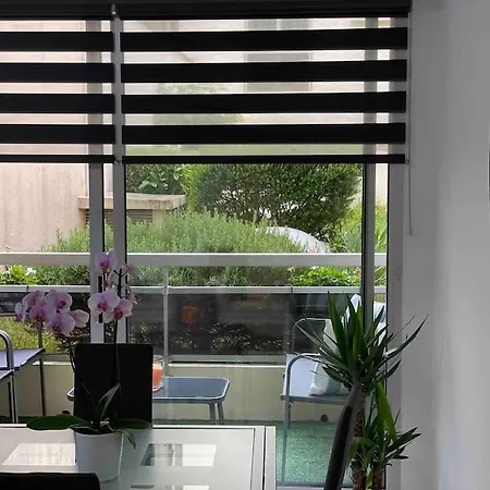 Superbe Carre Delfino Port De